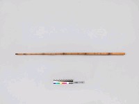 藏品(刻飾竹杖)的圖片